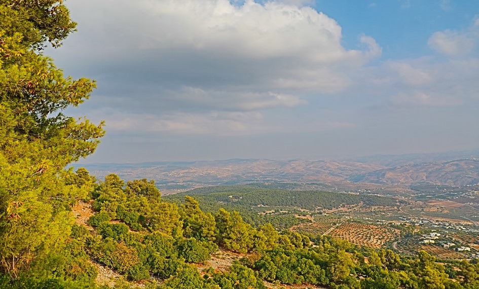 Jerash - experiențe culturale autentice în Iordania
